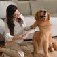 UAHPET Fluffy-1 Pro Low Noise Dog Hair Dryer