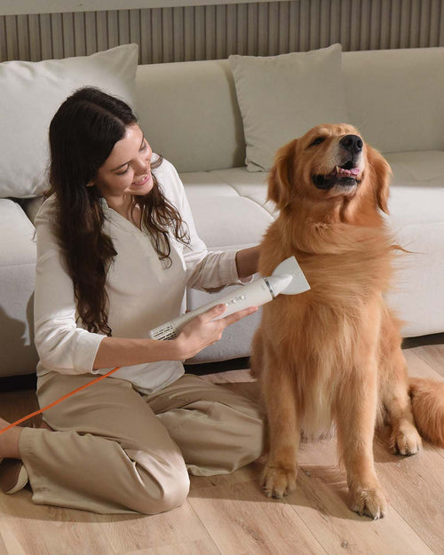 Uahpet Fluffy 1 Pro HighVelocity Dog Dryer