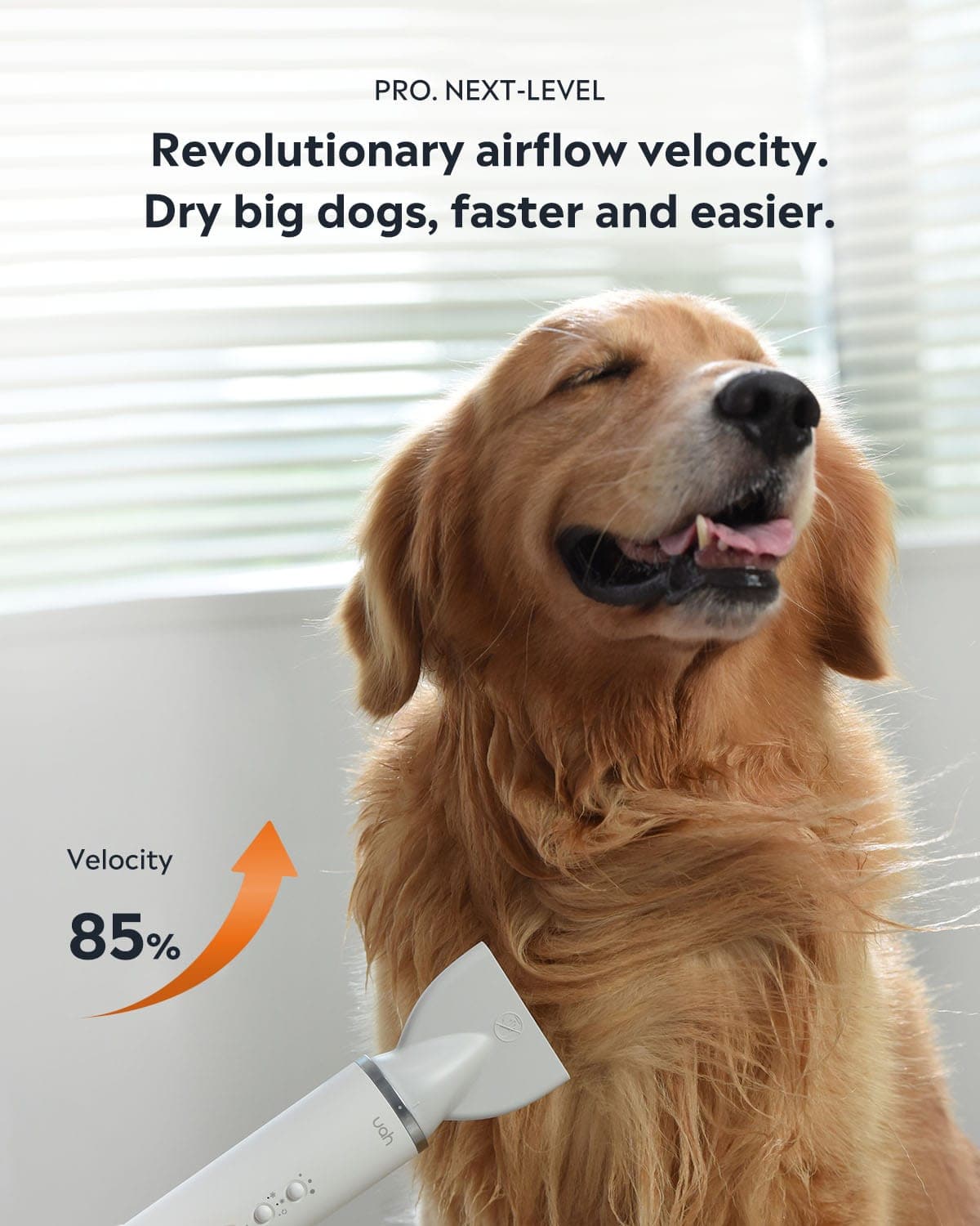 Uah Pet Fluffy-1 Pro Low Noise Dog Hair Dryer