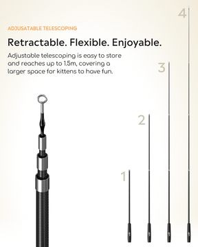 LED Fountian & Cat Essentials