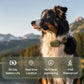 UAHPET Pulse Smart Health & GPS Tracker