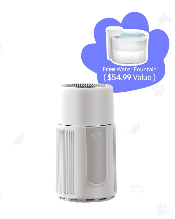 [BOGO] UAHPET Air Purifier & Free Wireless Cat Water Fountain with 1 Filter