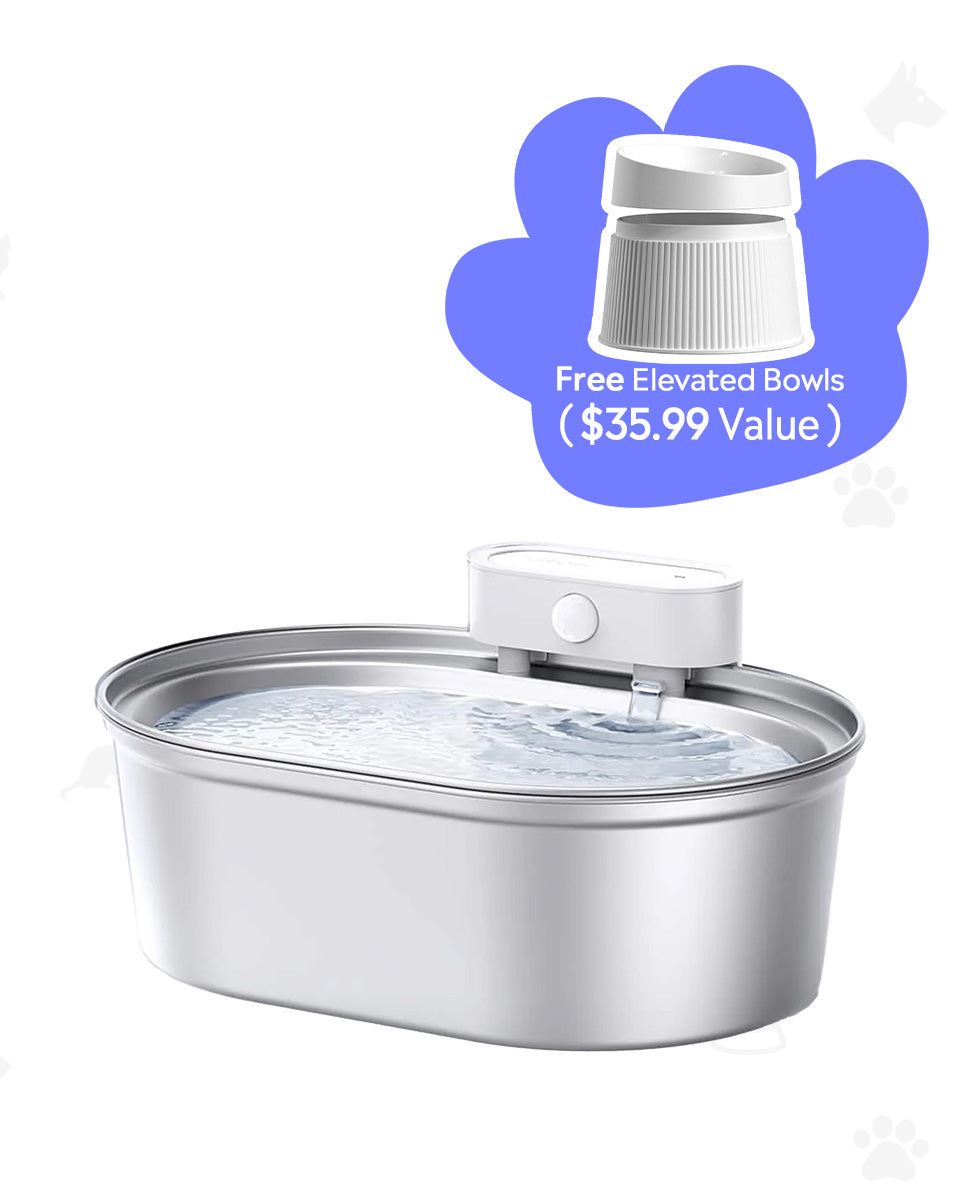[BOGO] Stainless Steel Pet Water Fountain & Free Cat Bowl