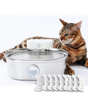 uahpet 2025 Upgrade Visible Stainless Steel Cat Water Fountain Pro