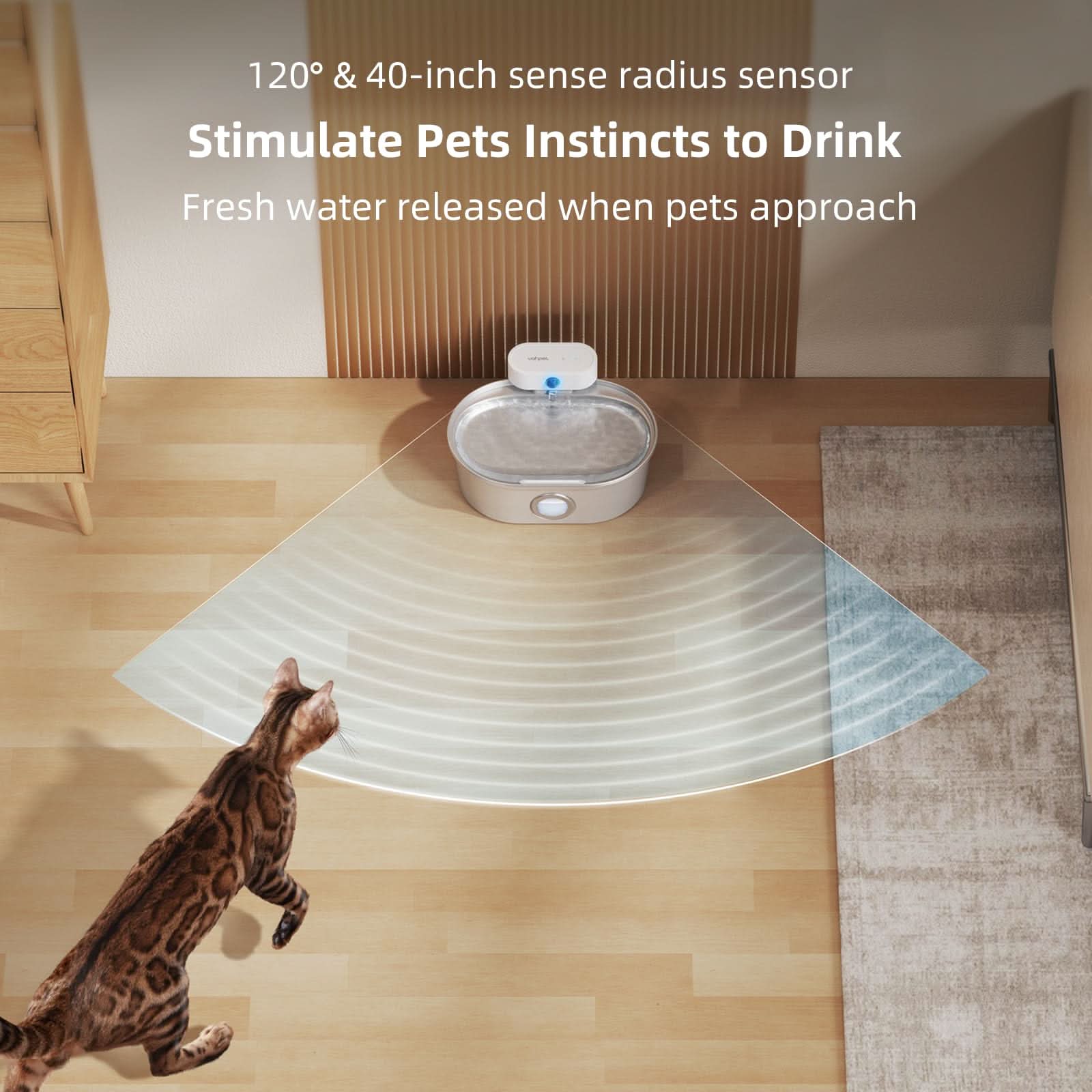 Harmony stainless steel cat fountain outlet