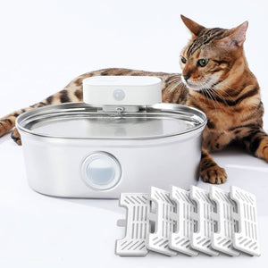 uahpet 2025 Upgrade Visible Stainless Steel Cat Water Fountain Pro