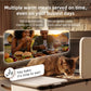 Pre-Sale | UAHPET Fresh Food Automatic Pet Feeder