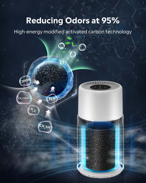 Professional Modified Activated Carbon eliminating odors, creating a fresh and inviting atmosphere.