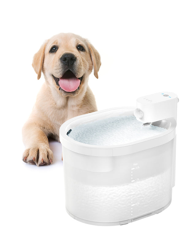 UAHPET ZERO Automatic Water Fountain for Dog