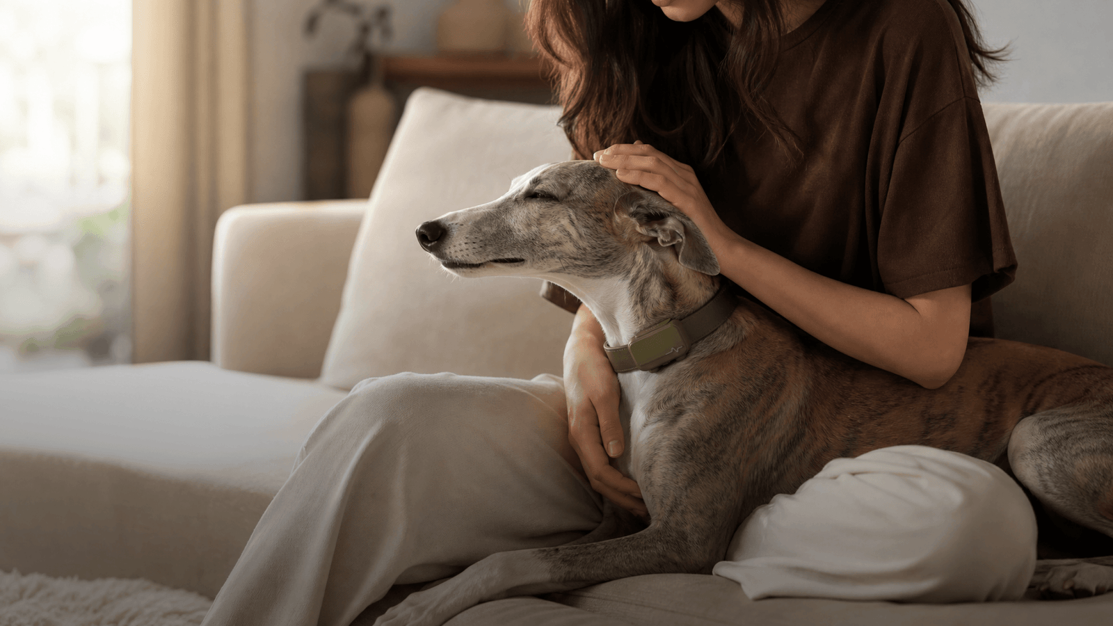 DOG HEALTH
