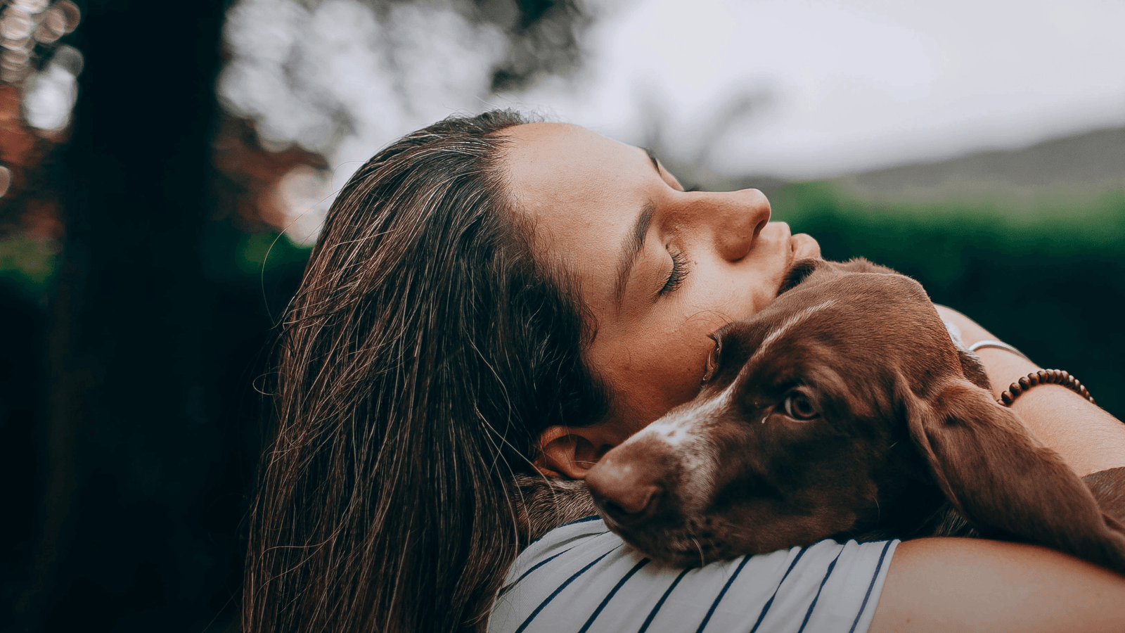 Dog tracking,like never before