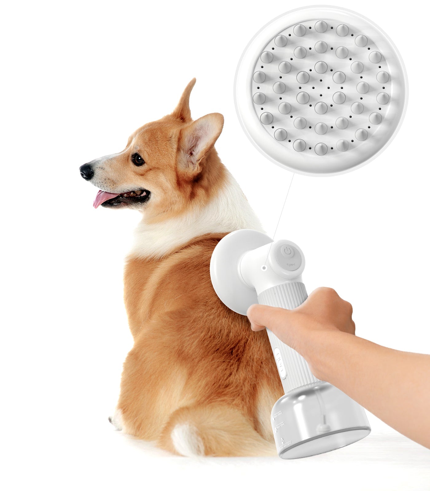 Pet Bath Brush Shower With Water Hose