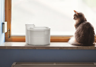 wireless cat water dispenser in the living room- uahpet