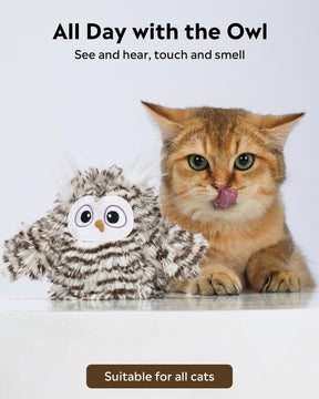 Uah Pet Crazy Swinging Owl Cat Toy