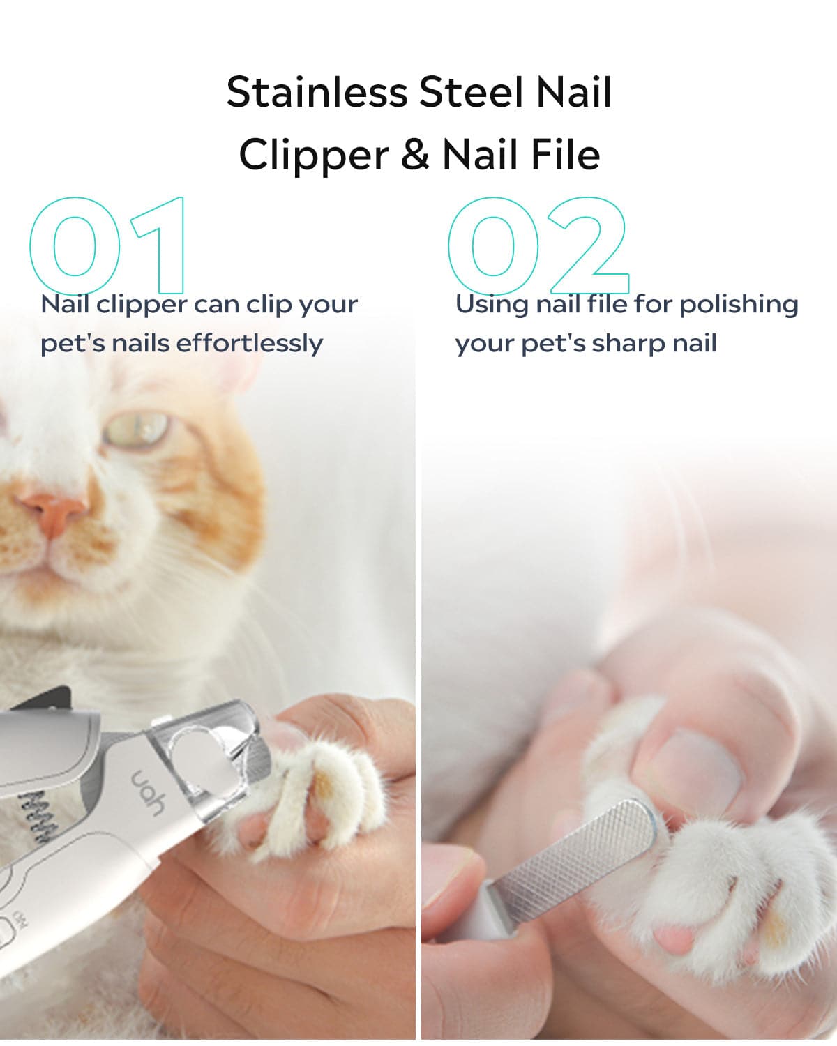 2-in-1 clipper and nail file 