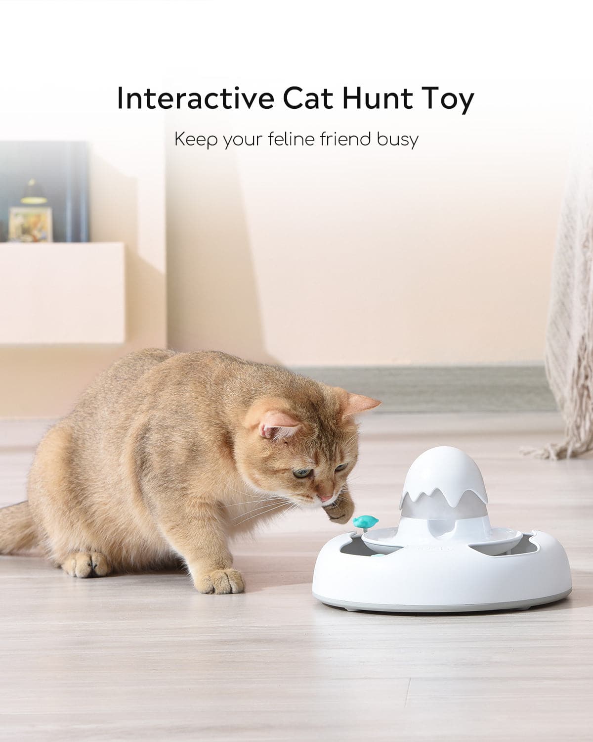 brown cat is catching the bug on the cat interactive treat toy