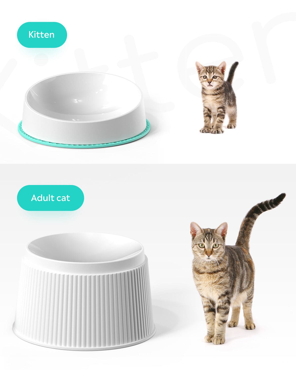 uahpet Elevated Cat Food Bowl Super Widen Raised Cat Food Dishes for  Protecting Spine, Reliefing Whisker Fatigue, Anti-Vomiting 17 Tilted Pet  Feeding Bowls with Silicone Mat for Indoor Cats