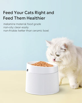 elevated cat bowl for better health
