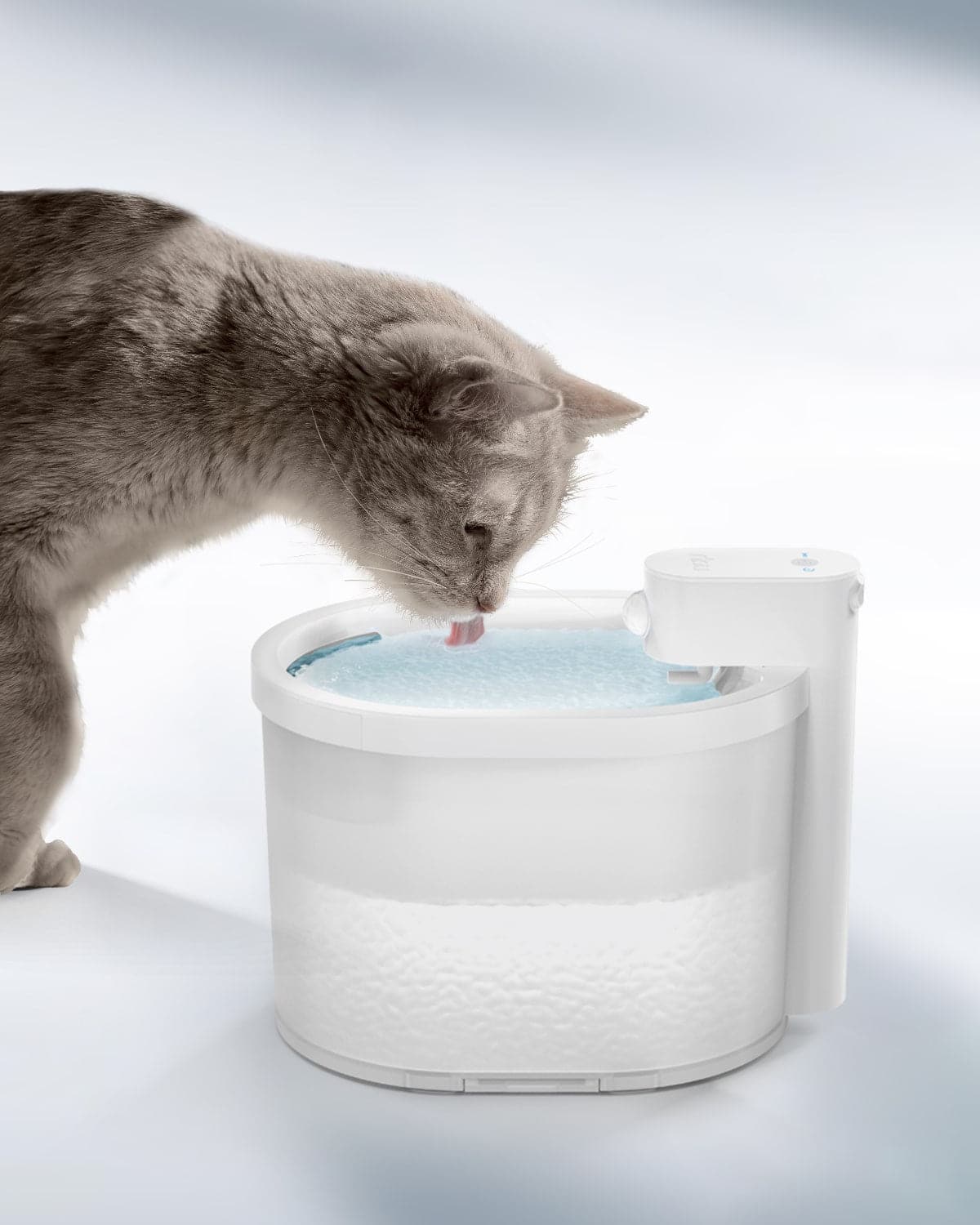 Automatic & Wireless Cat Water Fountain Dispenser ZERO 