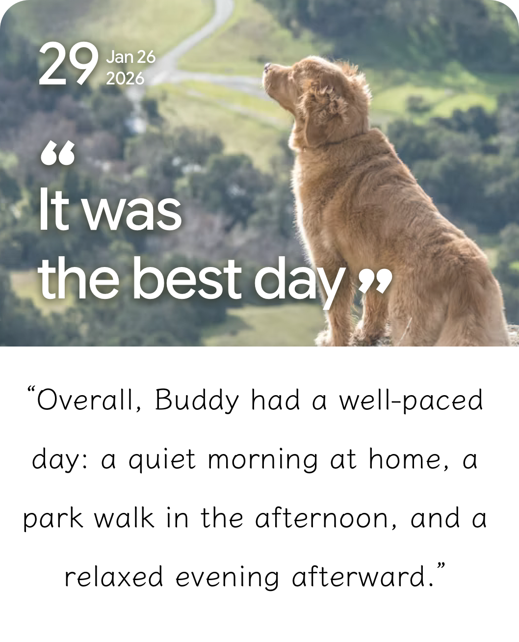 Uahpet Pulse daily journal card