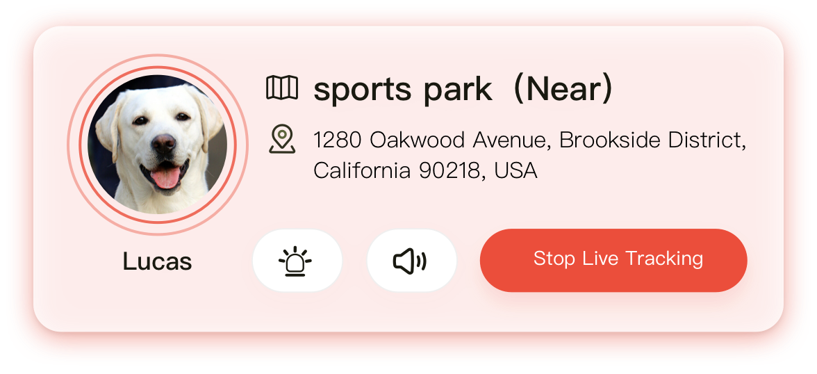 Uahpet Pulse GPS lost alert card