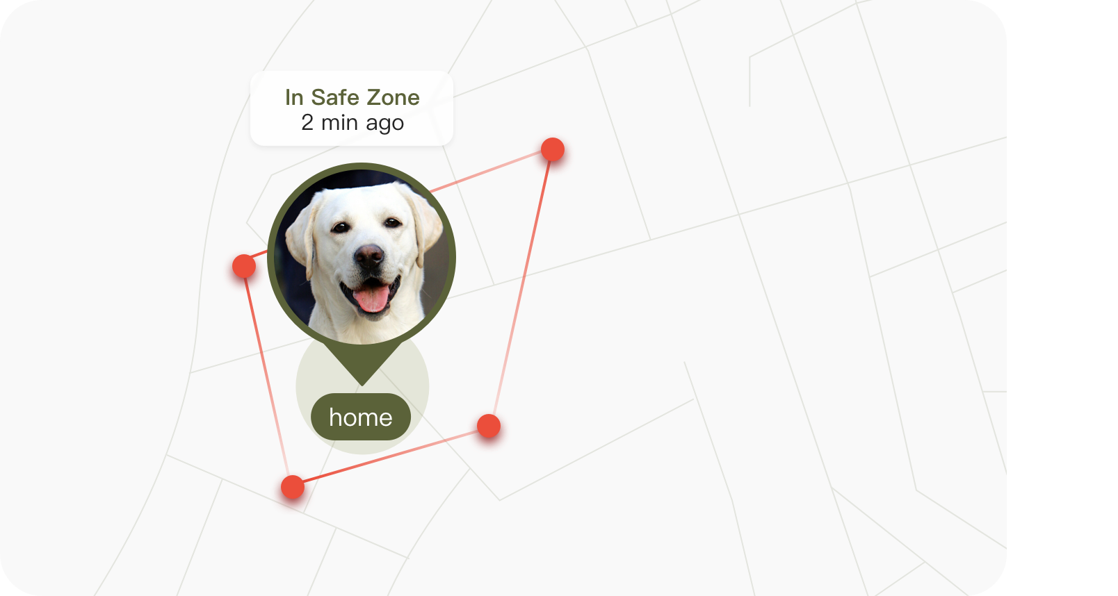 Uahpet Pulse GPS safe zone card
