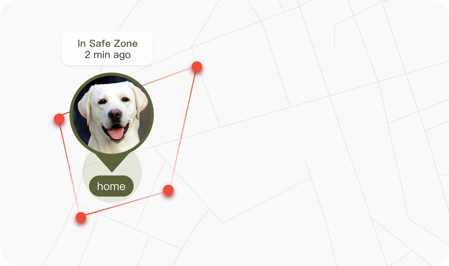 uahpet Pulse GPS safe zone map card