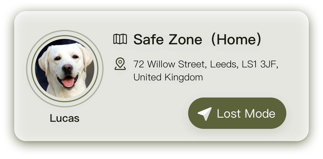 Uahpet Pulse GPS safe zone map card