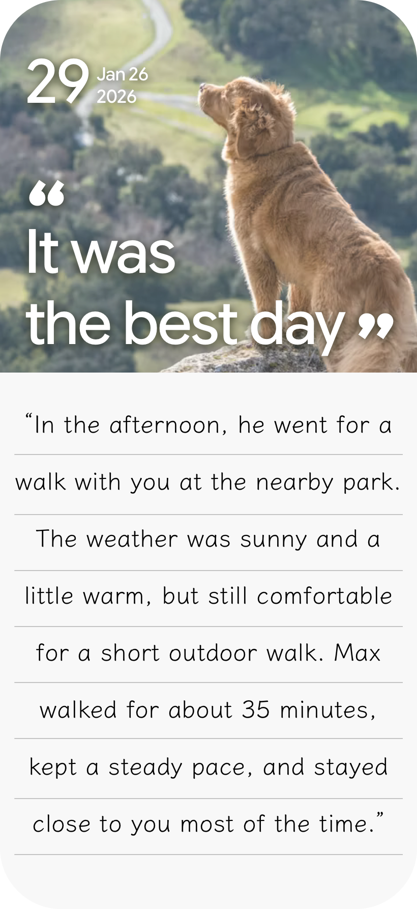 Daily journal screen